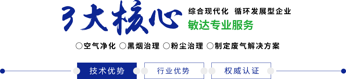 黑桃TV外国人透屄敏达环保科技（嘉兴）有限公司